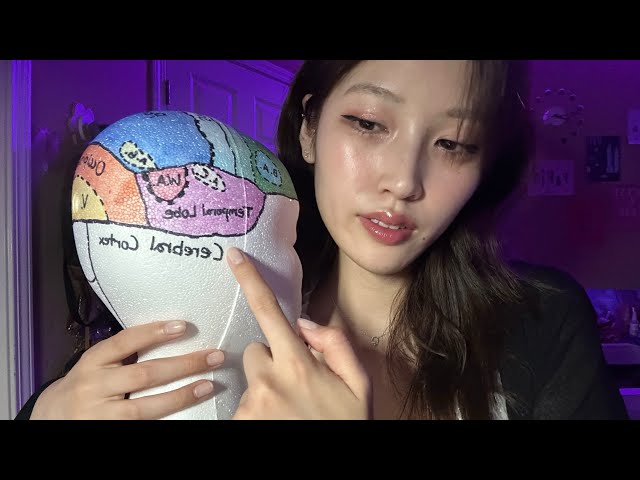 ASMR Sleep Clinic 💤 Soft Spoken Personal Attention 
