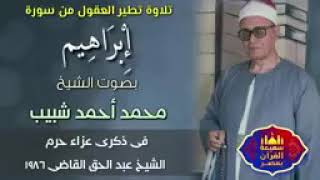 تلاوة تطير العقل من سورة ابراهيم للشيخ محمد أحمد شبيب