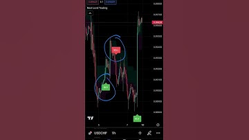 Most accurate trading indicator 🤑 #trading #indicators #crypto #forex #forextrading #trader