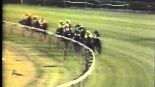 Horse Racing 1987 Arc. Longchamp Trempolino.avi