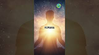 I CHING GALACTICO - QUE ES  Explicación fácil y sencilla | Tierra Tzolkin Maya #iching #tzolkin
