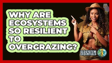 Why Are Ecosystems So Resilient To Overgrazing? - Ecosystem Essentials