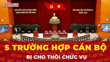 5 trường hợp cán bộ bị cho thôi chức vụ | Tin nhanh