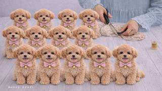 Very Easy! I Made 50 Pairs A Day And Sold Them All! Cute Poodle Dog From Yarn - Diy
