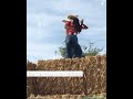 Igualados - Yaquecita - Bailandonorteñas - Cumbias Norteñas Mix 2023.