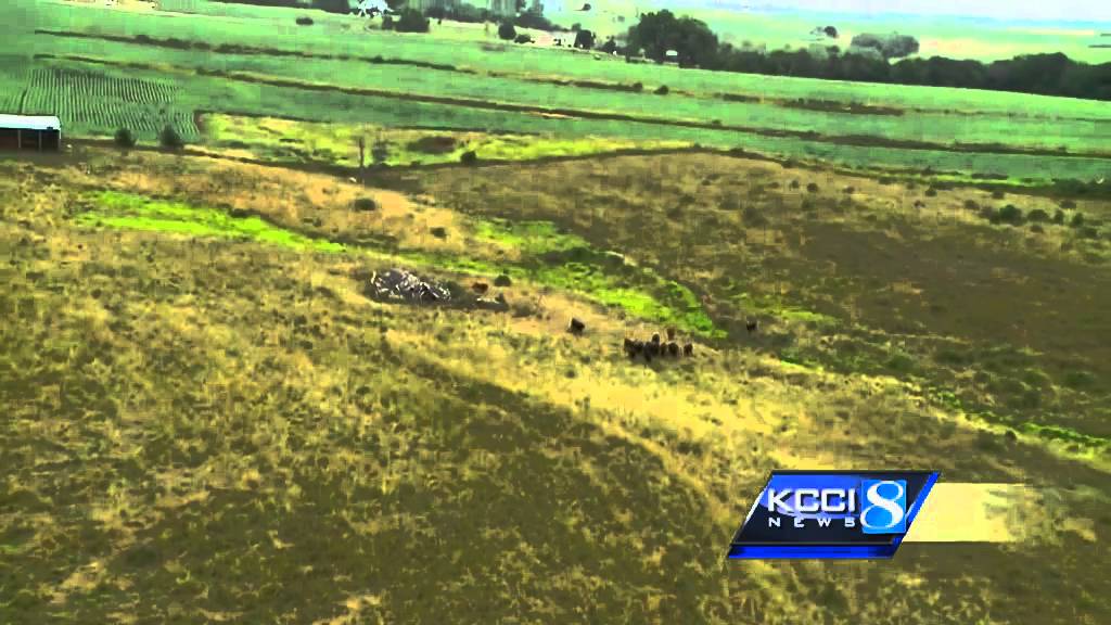 Take a balloon ride with Cynthia Fodor