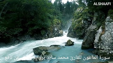 محمد سايد - سورة الماعون |107|MOHAMED SAYED - SURAT AL MAUN