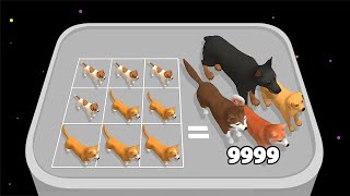 ANIMAL RACE ASMR - Dog Run & Merge Master! Merge Run 3D screenshot 2