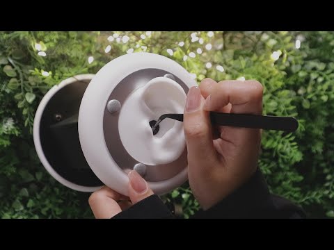 벅벅 30 : 안벅벅 70  은 벅벅일까 안벅벅일까 ear cleaning asmr