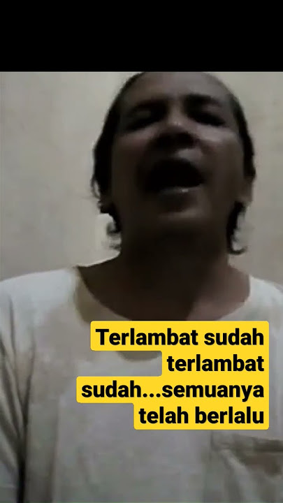 Story' WA 30 detik - Terlambat Sudah - Panbers - (cover) #Shorts #ShortsVideo