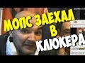 Мопс Заехал В Джона Клюкера / periskop-tv.ru