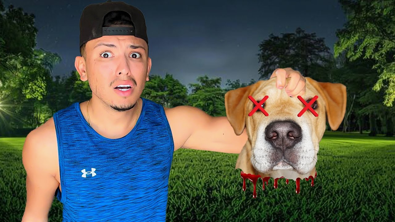 Кто мог так поступить с моей собакой?!