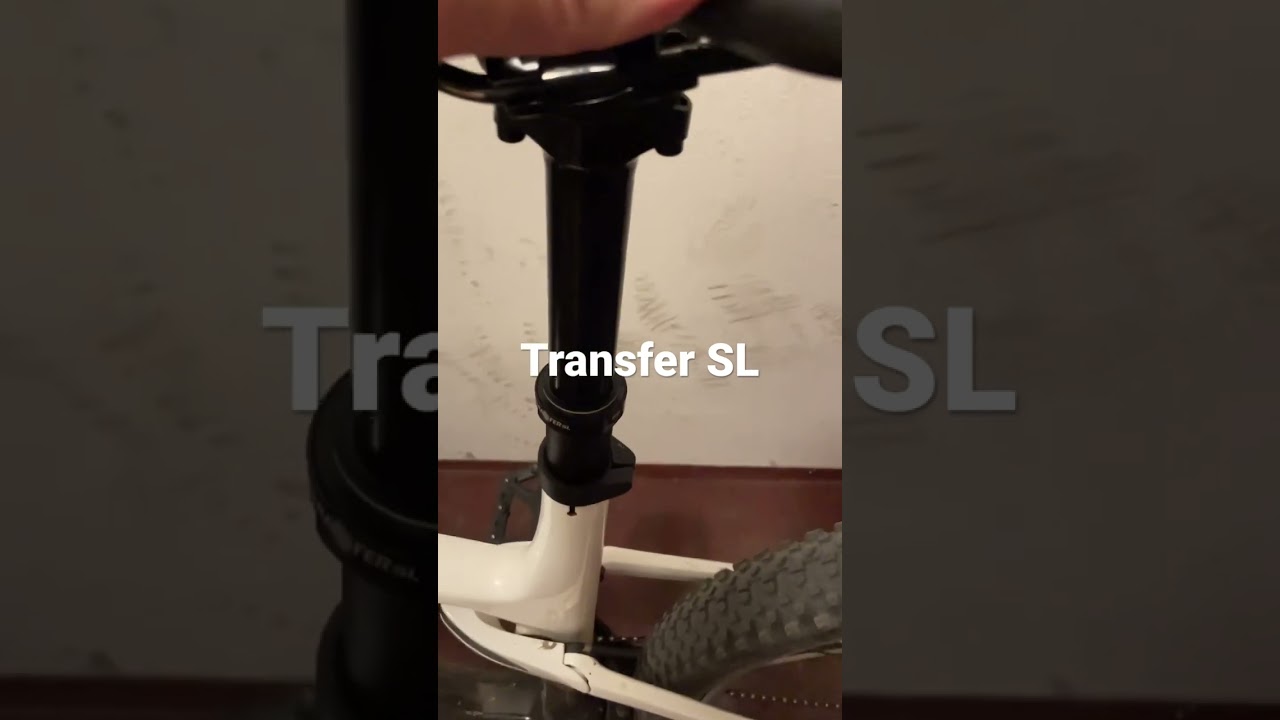 Transfer SL