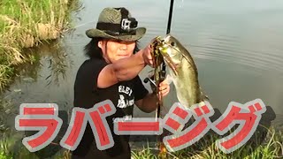 バス釣り　ラバージグでカバーを攻めると必ず釣れる　　　　　結果的に