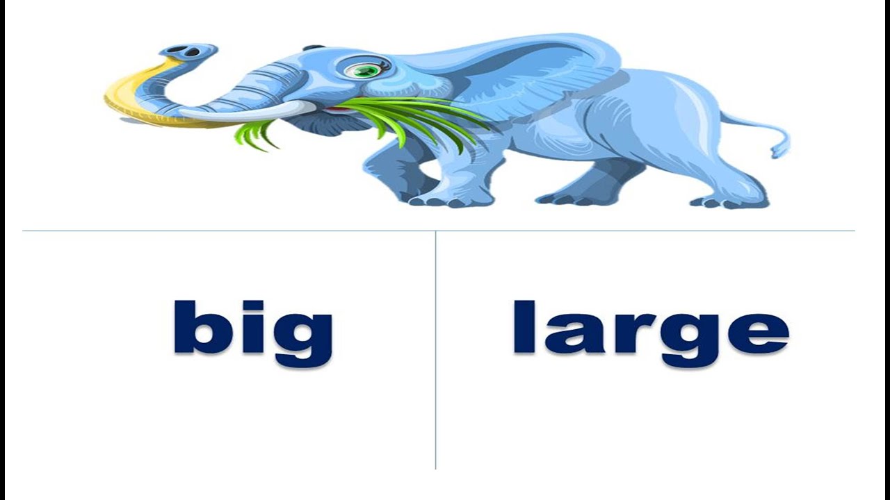 الكلمات المتشابهة في المعني في اللغة الانجليزية - English Synonyms