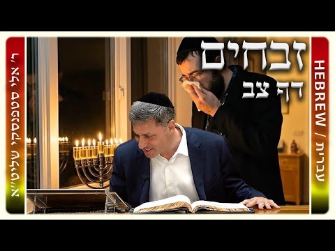 מרכז דף יומי - זבחים דף צב. - ר' אלי סטפנסקי שליט"א