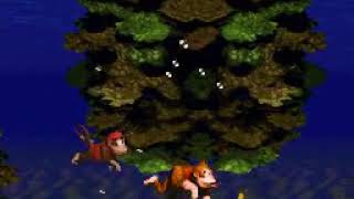 Dkc Minimal Y Presses W1