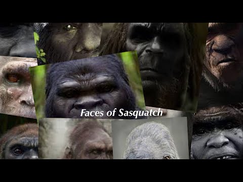 Faces of Sasquatch