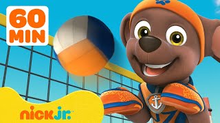 PAW Patrol Sports Day Rescues! w\/ Zuma, Chase \& Rocky | 1 Hour Compilation | Nick Jr.