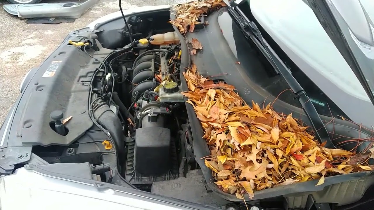 Звук мотора Ford 99X 1.6L (99X) от 2016 Ford Escape Se 1FMCU0G77GUB06710