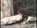Уничтожение грузинского танка Т 72 осетинскими боевиками 9 августа 2008 года