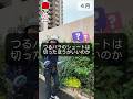 つるバラのシュートは切ったほうがいいのか　#相原バラ園 #バラ栽培 #ショート #つるバラ