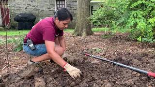 Gardener's Almanac: Aug 31 - Creating a Natural Edge