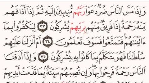 الصفحة رقم 408 الشيخ ماهر المعيقلي - القرآن الكريم - Quran