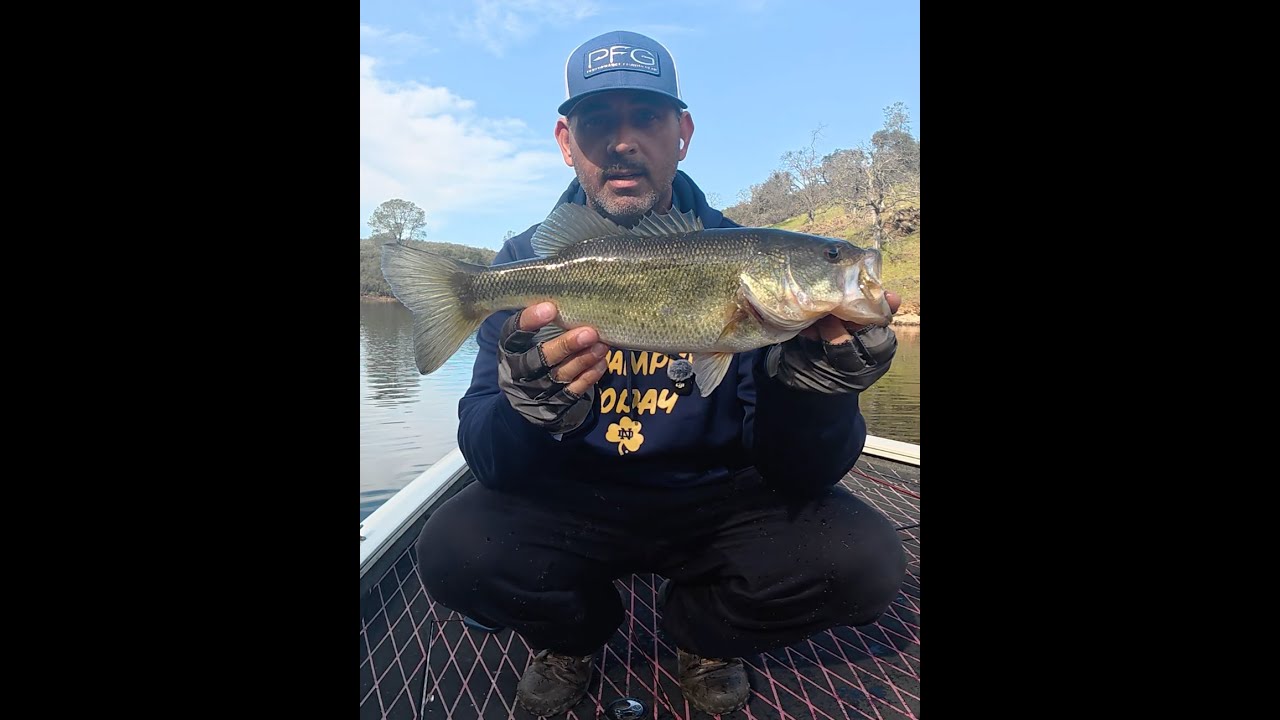 Surprisingly Good Day of Bass Fishing
