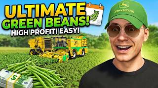 The Complete Green Bean Guide: Planting, Harvesting, and Selling!
