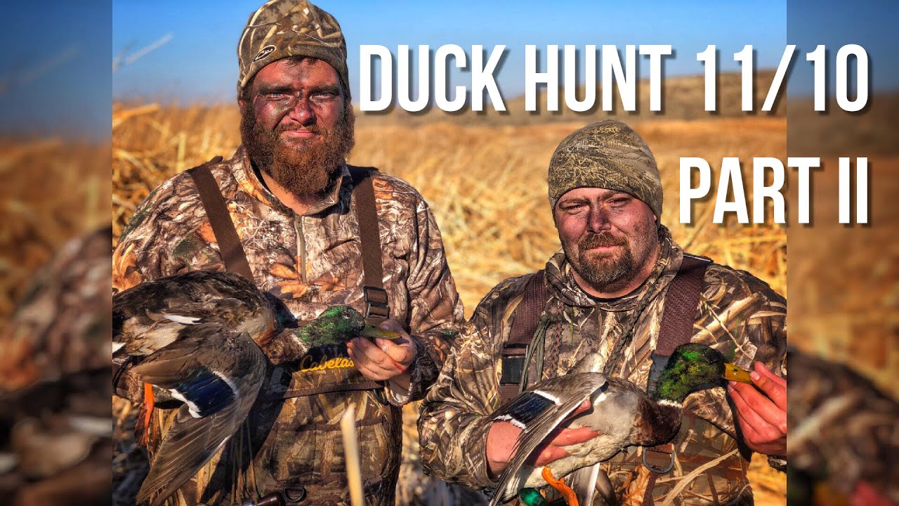 DUCK HUNT 11/10 PART II | A GOOD AFTERNOON PUBLIC LAND HUNT | 2018
