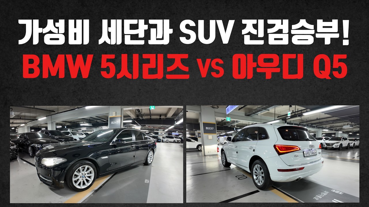 1000만원대 지리는 가성비로 2대 준비했습니다! ㅋㅋ BMW 5시리즈 vs 아우디 Q5 중고차