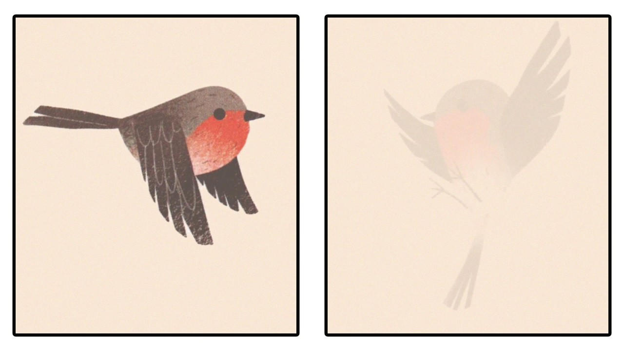 Amici di Pitti Pettirosso