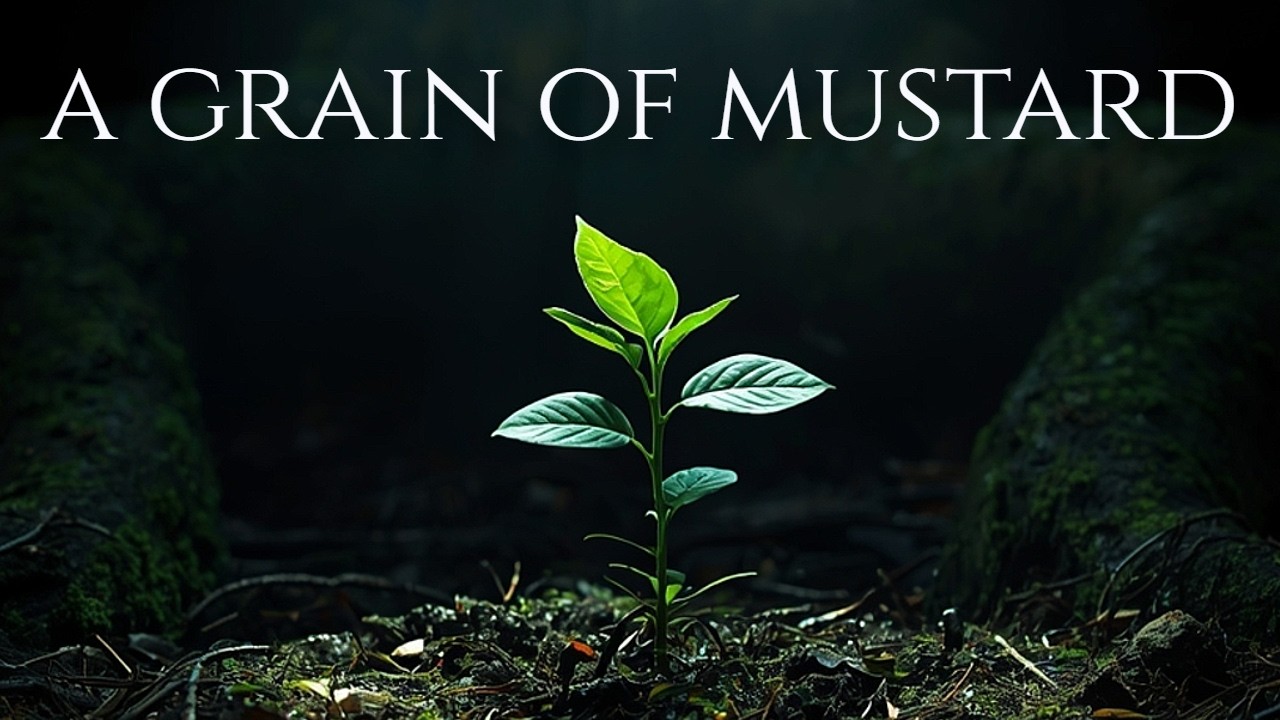 INCREASE MY FAITH | Instrumental Music for Peace