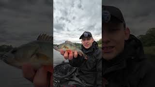 kto złowi większego okonia! #fishing #łowienie #szczupak #okonie