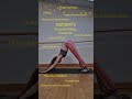 Ardha Mukha Svanasana is a fullbody experience and I do recommend it everyday.