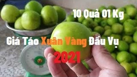 Bắt Đầu Mua Bán Quả Táo Xuân Đầu Vụ 2021l Nui Doi Luc Ngan 98