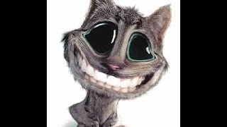 Oops Oops Cecky Cecky