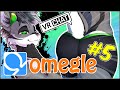 Queen Furry !?! | Furry VRChat Omegle |  Ep 5