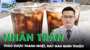 Nhân trần: Thảo dược thanh nhiệt, mát gan quen thuộc | SKĐS