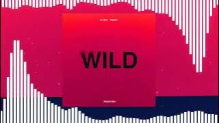 Wild - Techno - Dj Tani & Tsenay - TikTok (OUT NOW ON SPOTIFY)