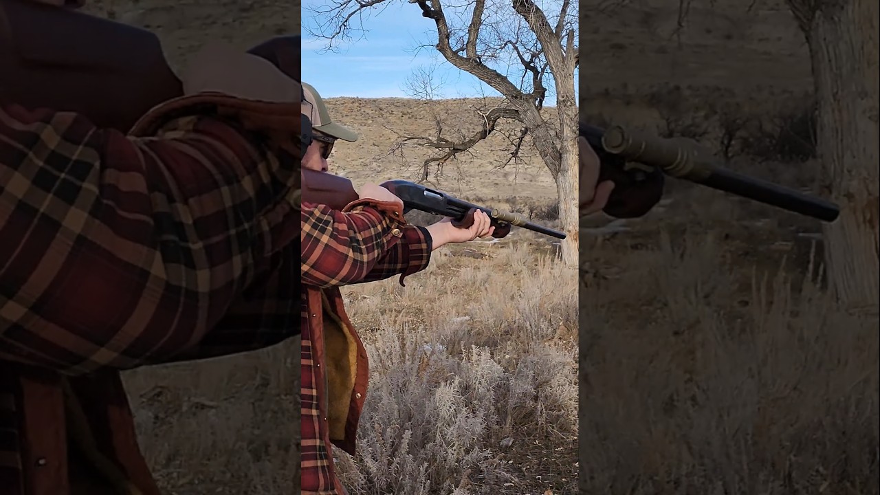 What Happens When You Combine WOOX Gladiator Wood with Shotgun Power?