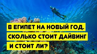 В Египет на Новый Год. Сколько стоит дайвинг и стоит ли?