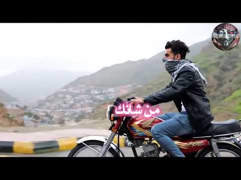 محمد الطويل قصر المحبة أروع شيلة رومانسية 2025 ستلامس قلبك 