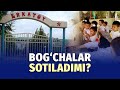 Ishlab turgan bog‘chalar sotiladimi?