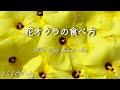 花オクラの食べ方　お浸し　サラダ　酢の物　お吸い物【簡単レシピ】