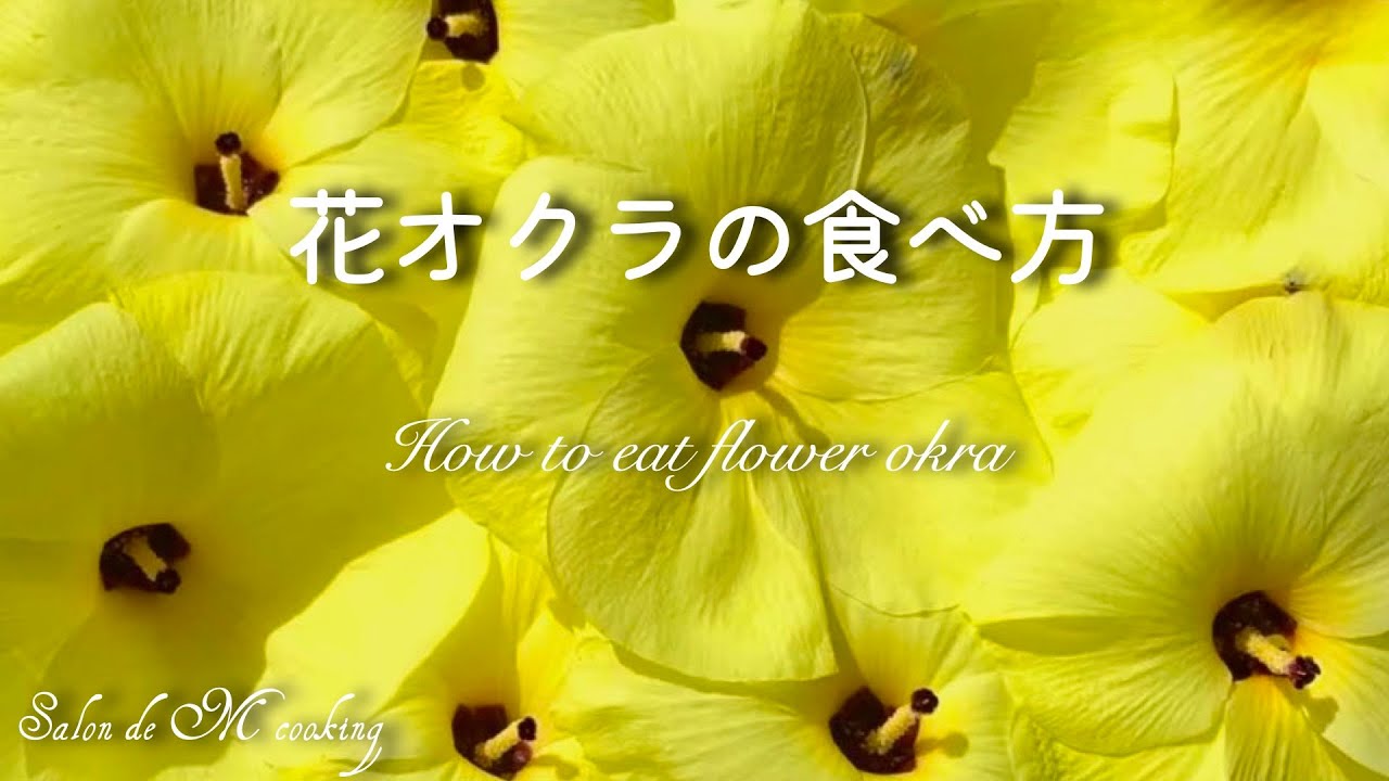花オクラの食べ方 お浸し サラダ 酢の物 お吸い物 簡単レシピ Youtube