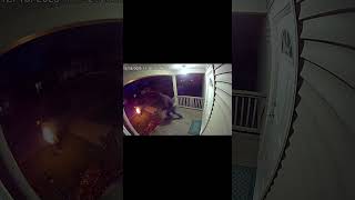 This Thief Had No Idea About the Camera #caught #theft #wow