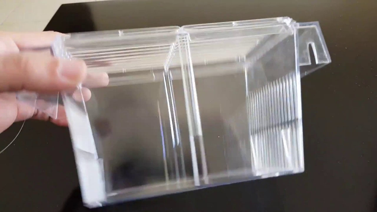 DIY AQUARIUM FISH TRAP/ FISH CATCHER YouTube