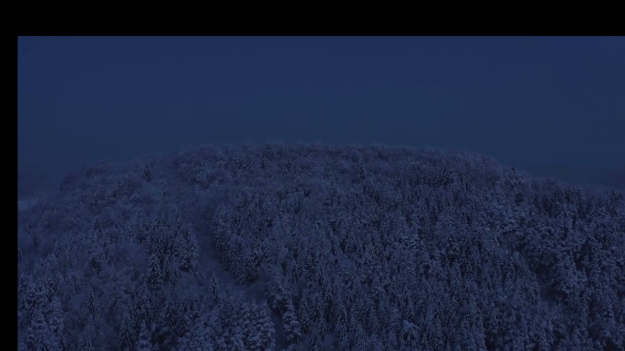 10 Hours of Deep White Noise 🌙 Dark Blue Nature for Instant Sleep